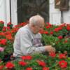 Dad working with his favorite flower 